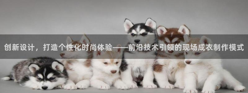 pg电子寻宝黄金城网址是什么