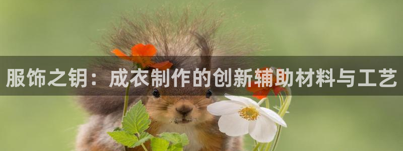 pg电子游戏