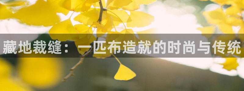 pg电子招财猫试玩