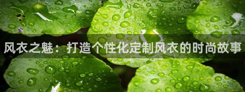 pg电子招财喵
