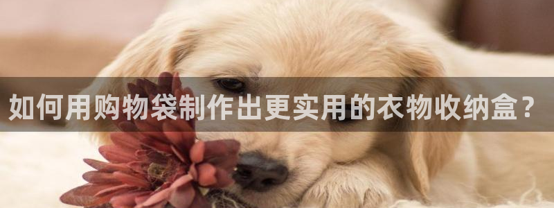 pg麻将胡了电子游戏