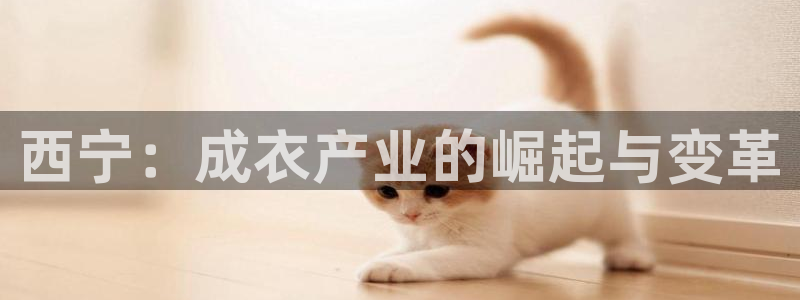 pg电子模拟器免费版