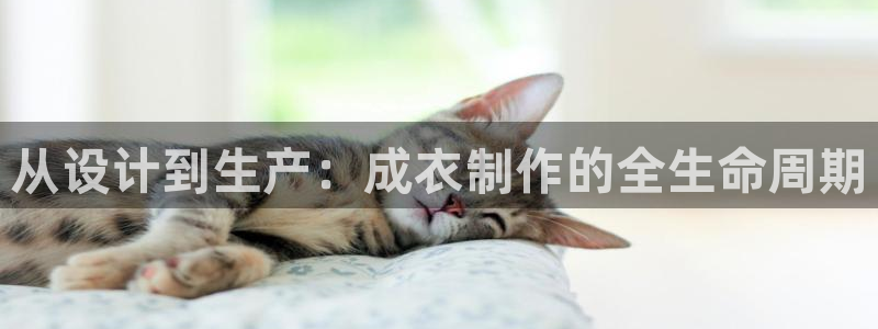 pg电子容易上头