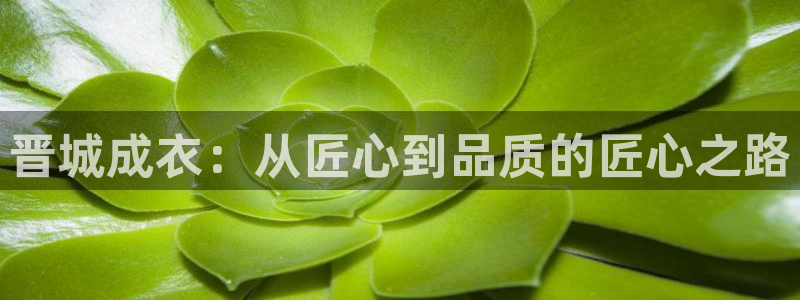 最火pg电子官方