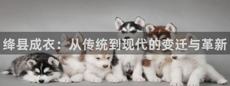 pg电子麻将胡了模拟器