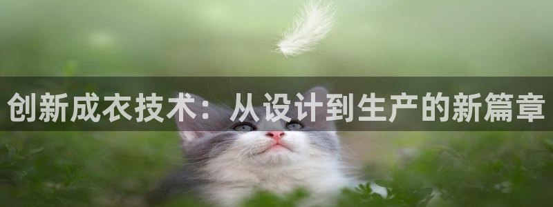 电子pg游戏网址