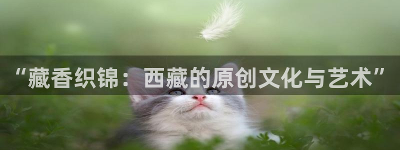 免费pg电子游戏苹果版