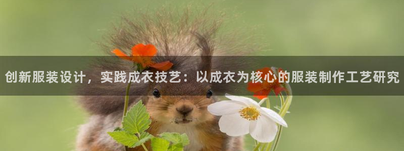 转出至PG电子什么意思