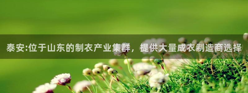 pg电子版有人玩吗