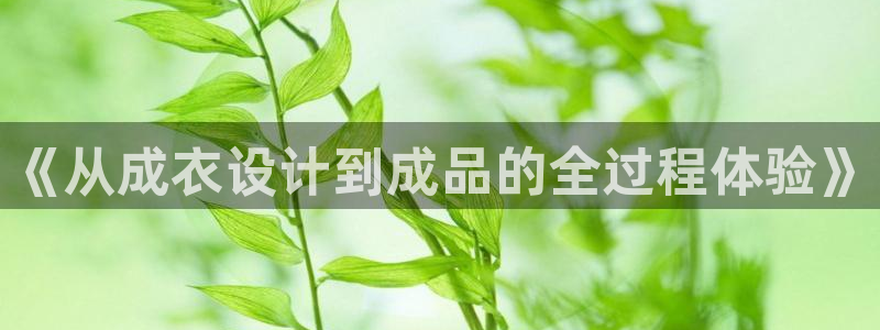 pg电子成就非凡