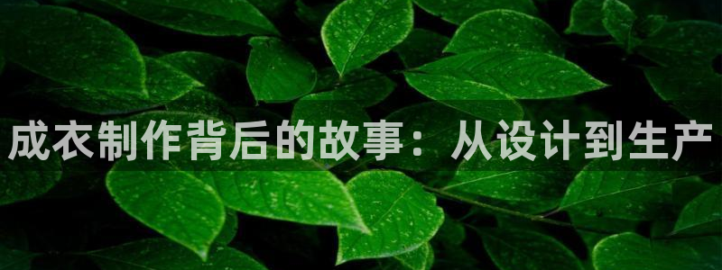 pg电子官方地址