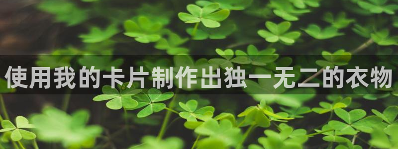 pg电子是局域网的吗