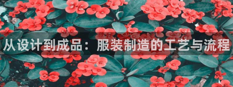 pg电子APP下载首页
