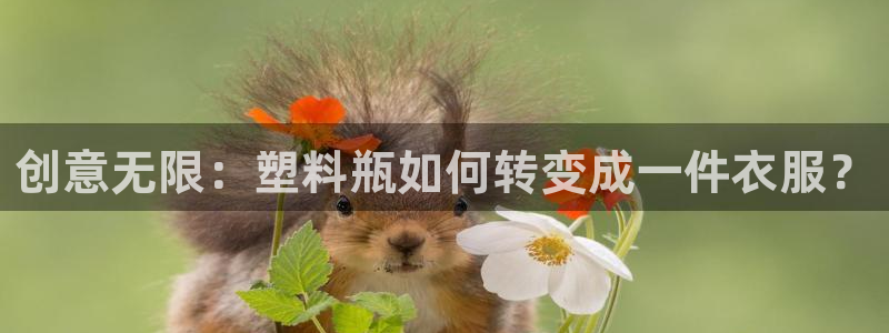pg电子免费单机游戏