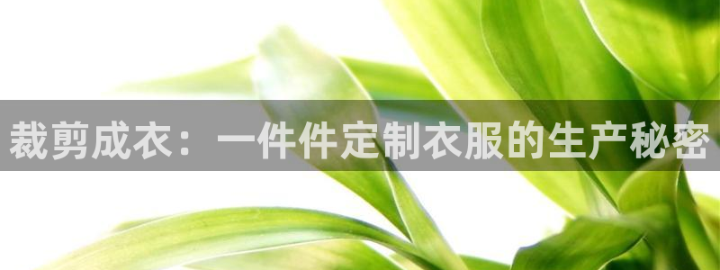 pg电子免费版ios