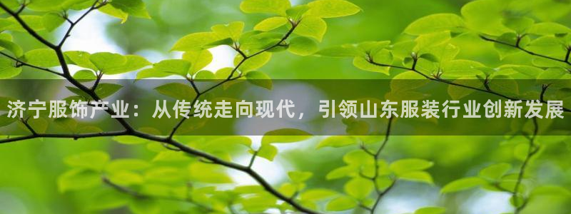 pg电子挂机