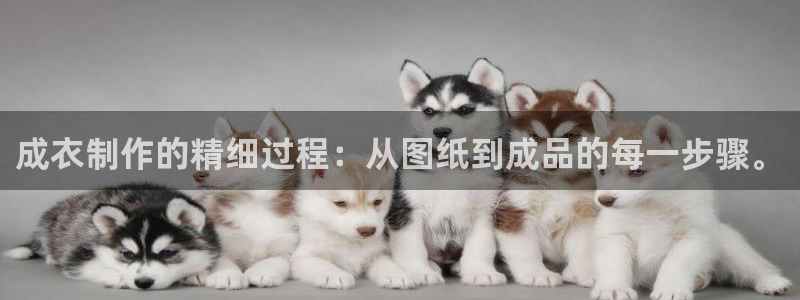 pg电子注单未返回