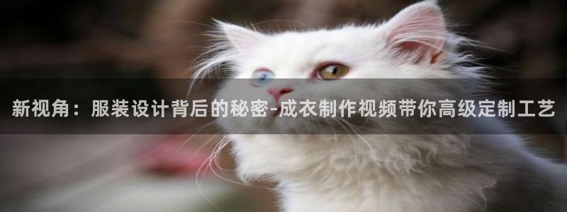 PG电子少林足球规则