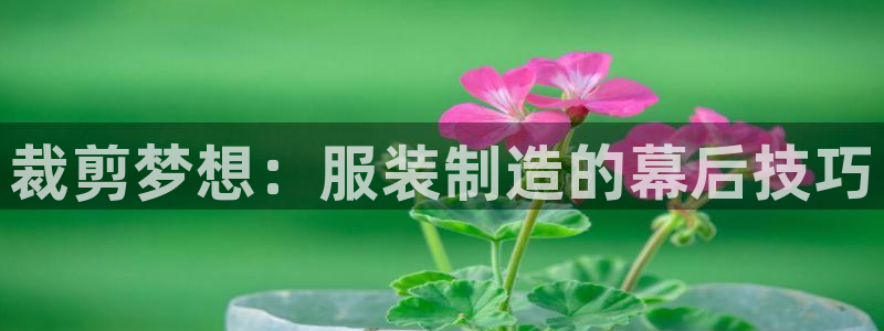 pg电子双喜临门维护