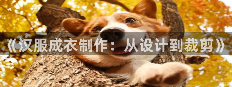 pg电子麻将胡了试玩版