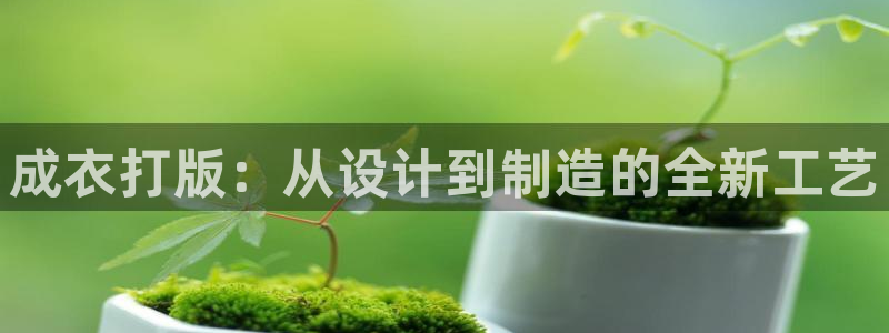 pg电子游戏官网