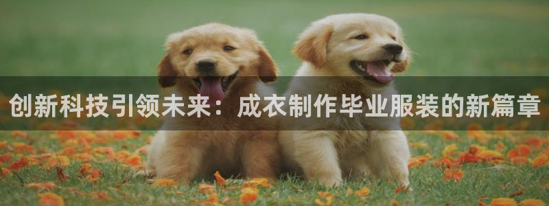 pg电子双喜临门维护