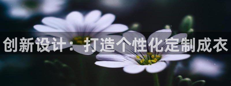 pg电子游戏平台哪个