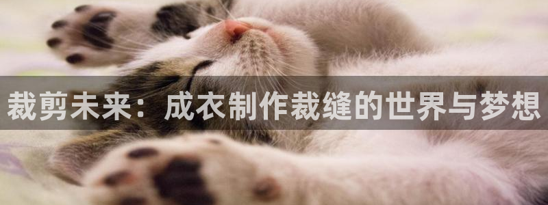 pg福运象财神电子游戏