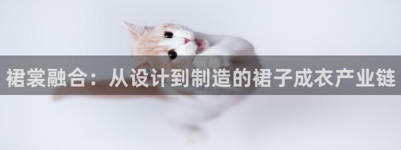 pg电子比基尼视频