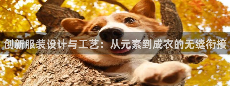 十年安全老品牌pg电子