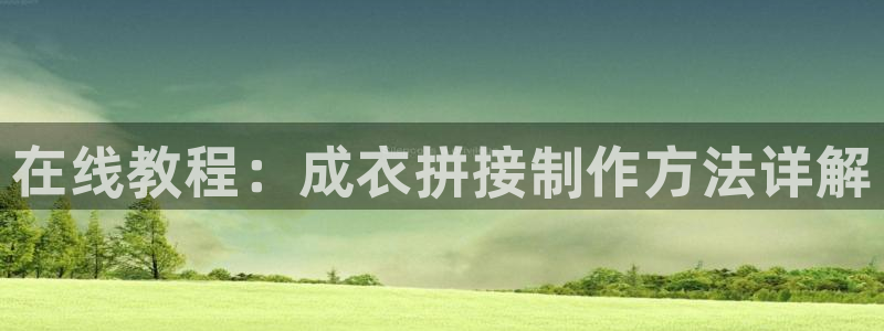 pg电子辅助软件下载