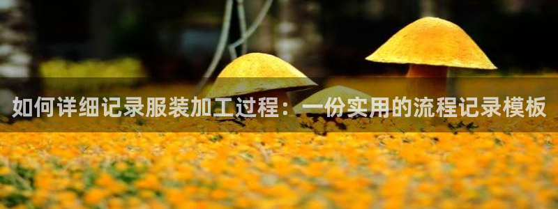 电子pg爆分视频