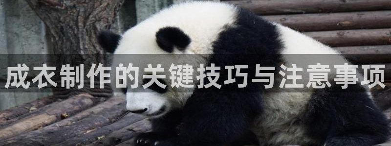 pg电子游戏非凡