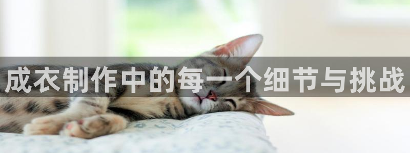 pg电子app全能版