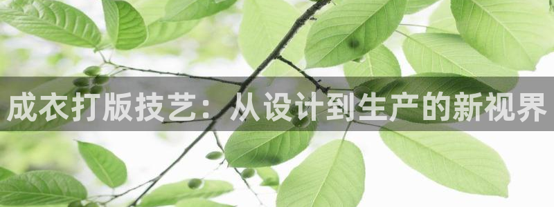 pg电子集团