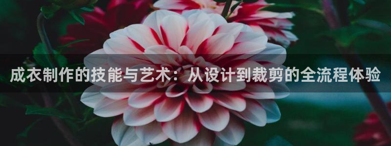 pg电子维护后