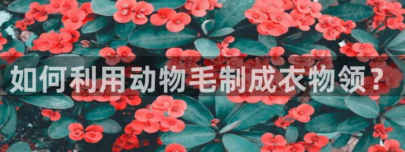 pg电子游艺加速器