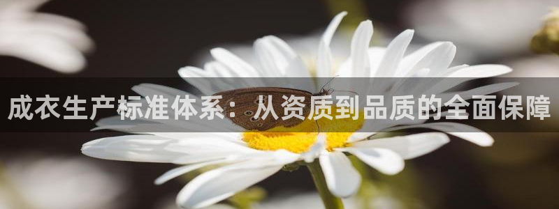 玩pg电子