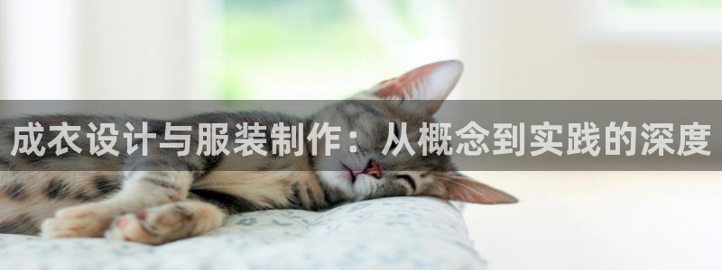 pg电子官方