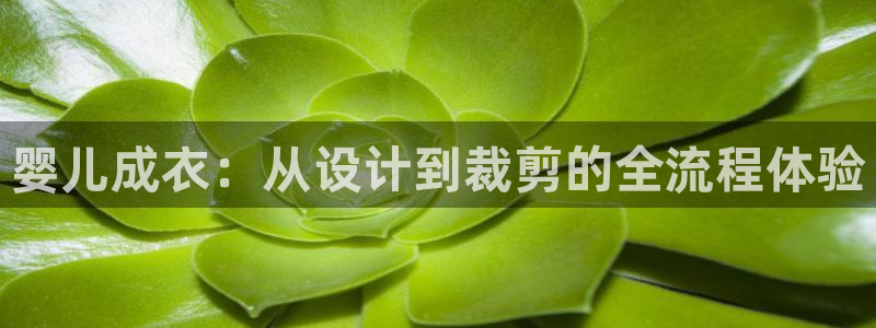 电子pg麻将胡了技巧