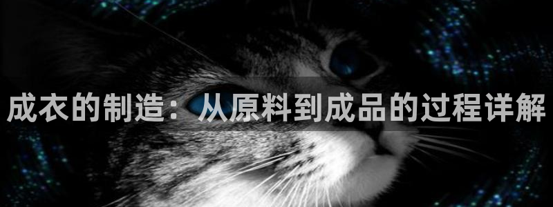 pg电子黄金城视频