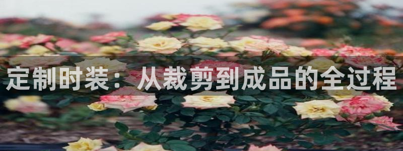 pg电子下载网址