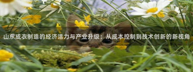 pg电子麻将胡了游戏大奖视频
